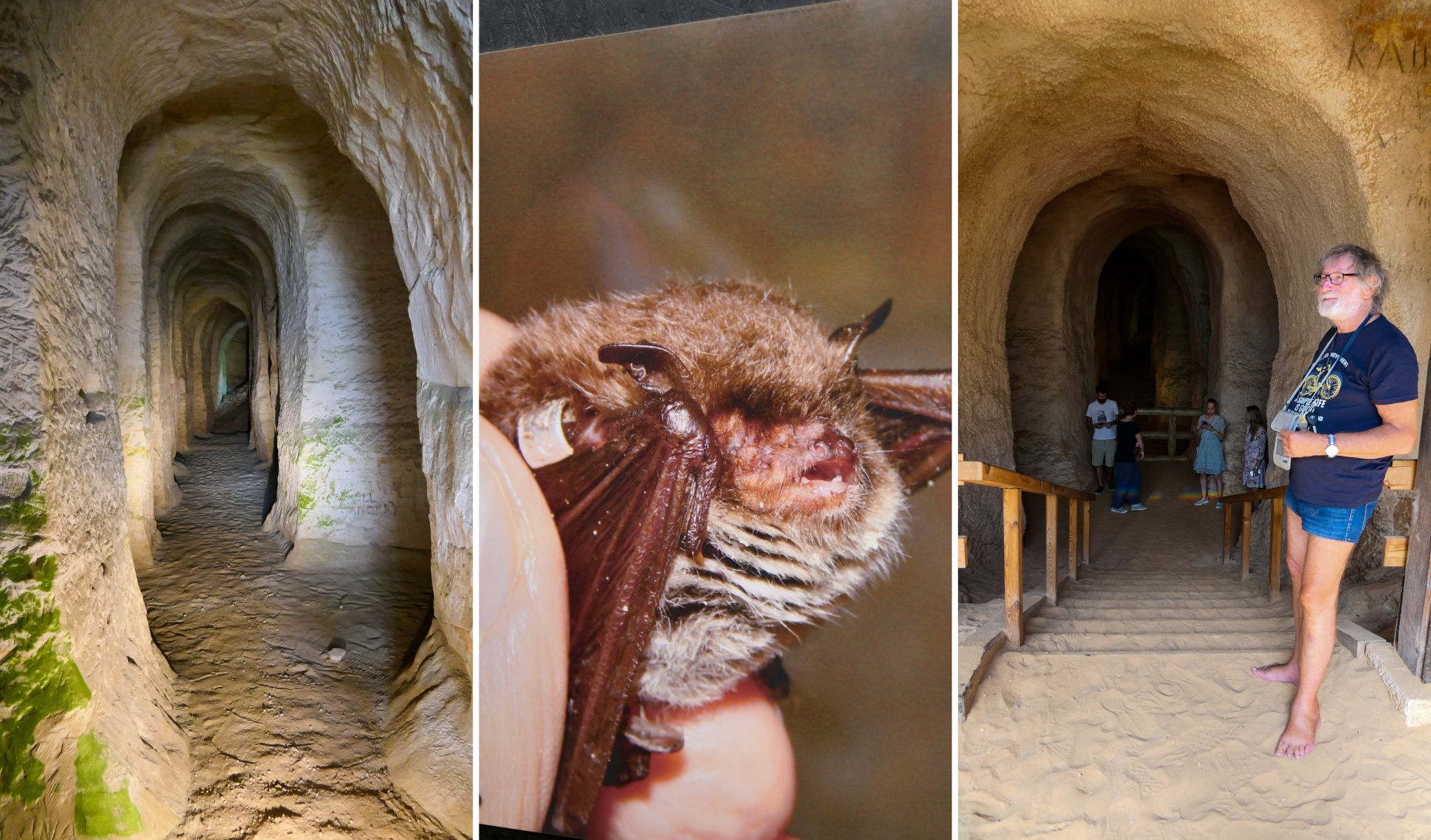 Quarz-Sandhöhlen bei Piusa - alles handgemacht und einsturzgefährded - ein Paradies für Fledermäuse.